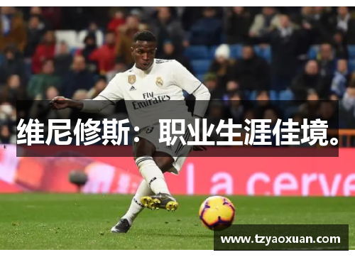 维尼修斯：职业生涯佳境。